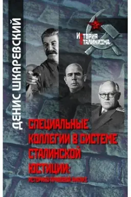 Cover: Special′nye kollegii v sisteme stalinskoj yusticii:istoriko-pravovoj analiz