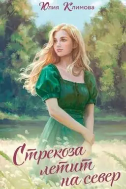 Buchcover: Strekoza letit na sever