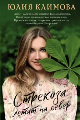 Buchcover: Strekoza letit na sever