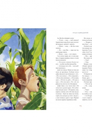 Cover: Toreadory z Vasyukivky. Velyke ilyustrovane vydannya. Knyha persha