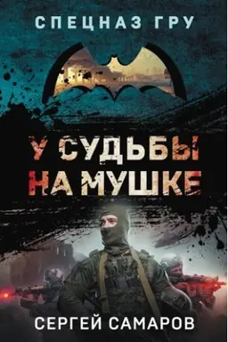 Buchcover: U sud′by na muške