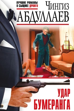 Buchcover: Udar bumeranga