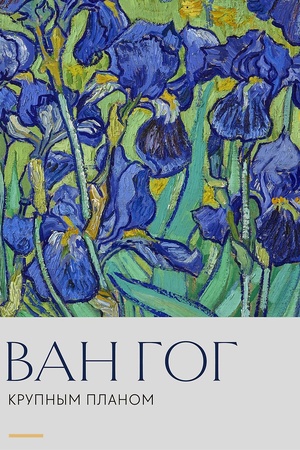 Buchcover: van-gog-krupnym-planom