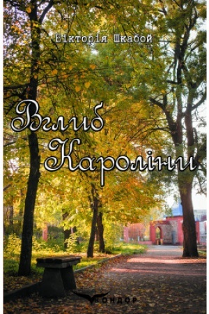 Buchcover: VHLYB KAROLINY. Roman