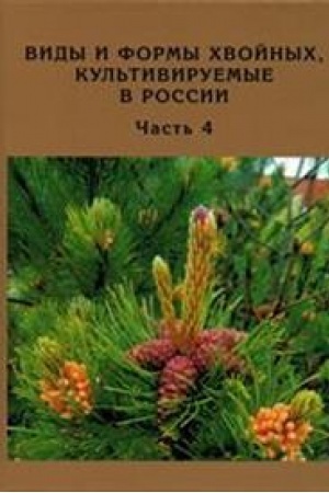 Buchcover: Vidy i formy chvojnych, kul′tiviruemye v Rossii. Čast′ 4. Sosna
