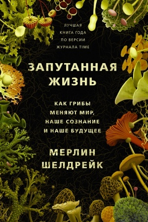 Buchcover: Zaputannaja žizn′. Kak griby menjajut mir, naše soznanie i naše budučšee
