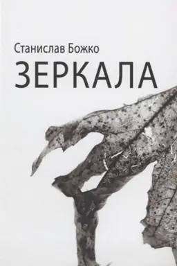 Cover: Zerkala
