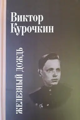 Buchcover: Železnyj dožd′