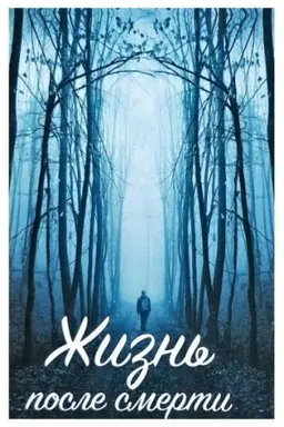 Buchcover: Žizn′ posle smerti Real′nye fakty i rasskazy očevidcev