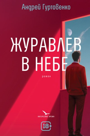 Buchcover: Žuravlev v nebe