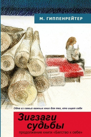 Buchcover: Zigzagi sud′by