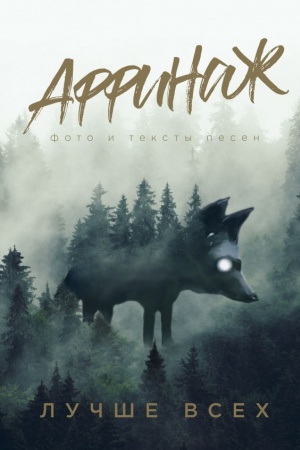 Buchcover: Affinaž. Foto i teksty pesen. Lučše vsech