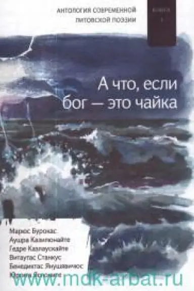 Обложка: Антология современной литовской поэзии: Кн. I: «А что если бог — это чайка». Сборник поэзии