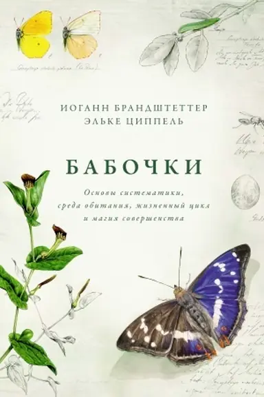 Обложка: Бабочки. Основы систематики, среда обитания, жизненный цикл и магия совершенства