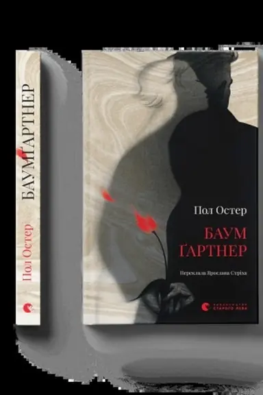Buchcover: Baumgartner