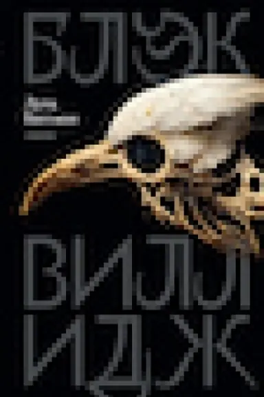 Buchcover: Blėk Villidž: skazni