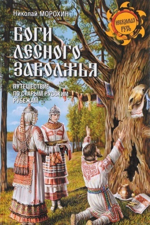 Cover: Bogi lesnogo Zavolzh&prime;ya. Puteshestvie po starym russkim rubezham