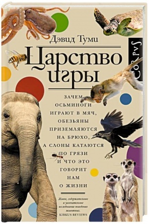 Cover: Carstvo igry