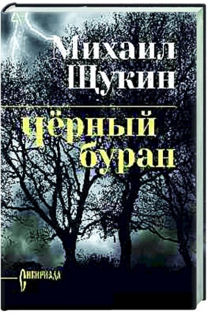 Обложка: Чёрный буран