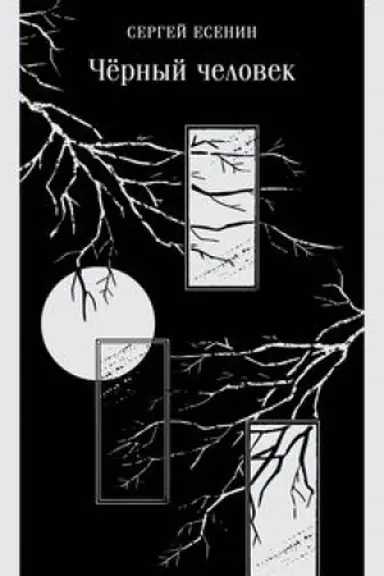 Buchcover: Čërnyj čelovek