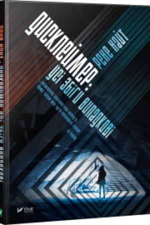 Buchcover: Dysklejmer Usi zbihy vypadkovi