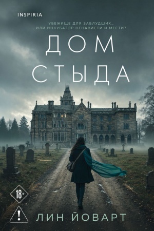 Buchcover: Dom styda