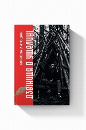 Buchcover: DZVINYCJA V UŠČELYNI