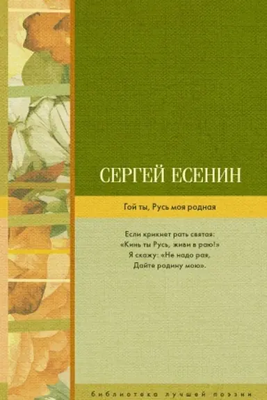 Buchcover: Goj ty, Rus′ moja rodnaja