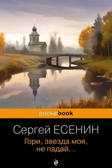 Buchcover: Gori, zvezda moja, ne padaj...