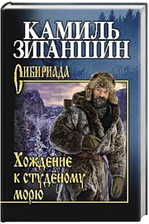 Buchcover: CHoždenie k studenomu morju