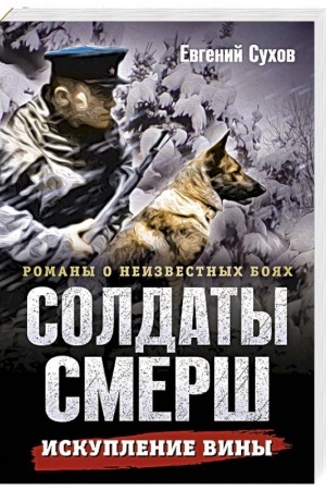 Buchcover: Iskuplenie viny