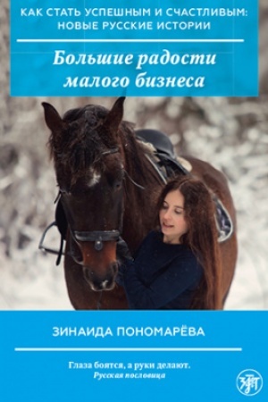 Обложка: Как стать успешным и счастливым: новые русские истории. Большие радости малого бизнеса 2-е изд.