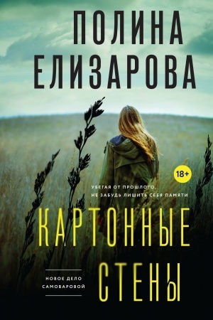 Buchcover: Kartonnye steny