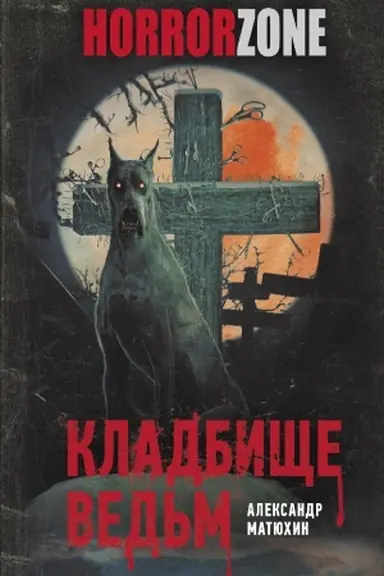 Buchcover: Kladbičše ved′m