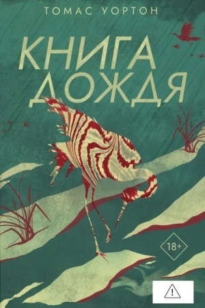 Обложка: Книга дождя