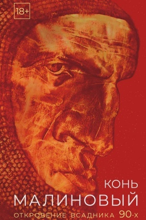 Buchcover: Kon′ malinovyj