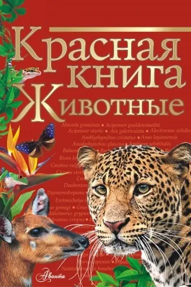 Cover: Krasnaya kniga. ZHivotnye