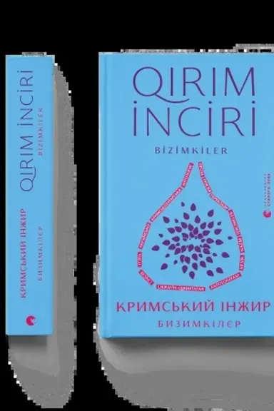Buchcover: Kryms′kyj inžyr. Byzymkiljer