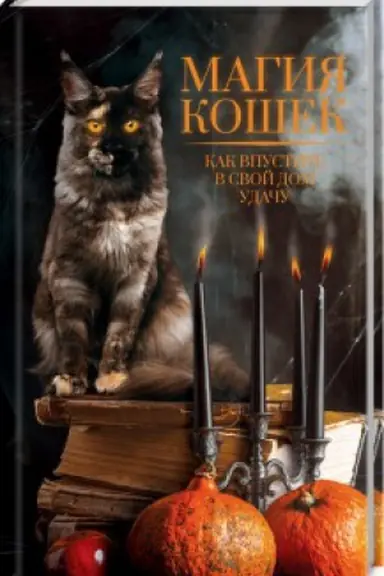 Cover: Magiya koshek. Kak vpustit′ v svoj dom udachu