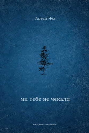 Buchcover: MY TEBE NE ČEKALY