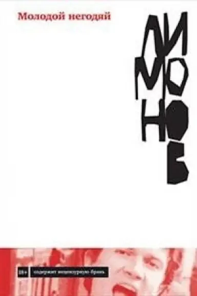 Buchcover: Molodoj negodjaj