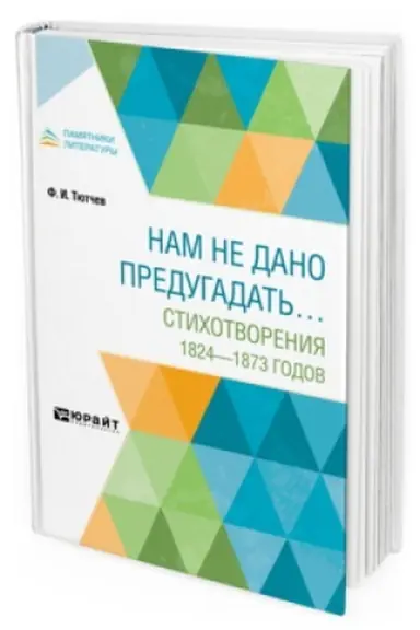 Buchcover: NAM NE DANO PREDUGADAT′… STICHOTVORENIJA 1824–1873 GODOV
