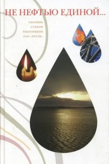Buchcover: Ne neft′ju edinoj…