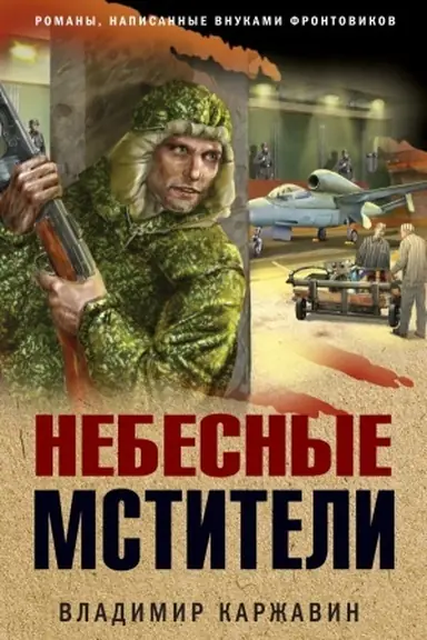 Buchcover: Nebesnye mstiteli