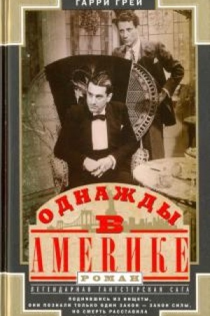 Buchcover: Odnaždy v Amerike