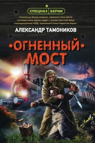 Cover: Ognennyj most