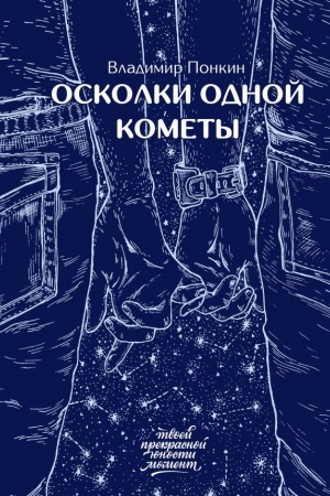 Cover: Oskolki odnoj komety