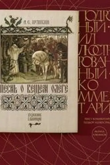 Buchcover: Pesn′ o Večšem Olege.Podrobnyj illjustrirovannyj kommentarij.