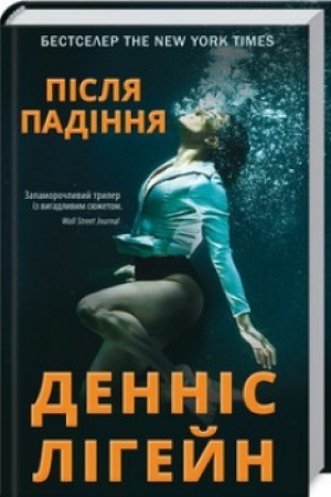 Buchcover: Pislja padinnja