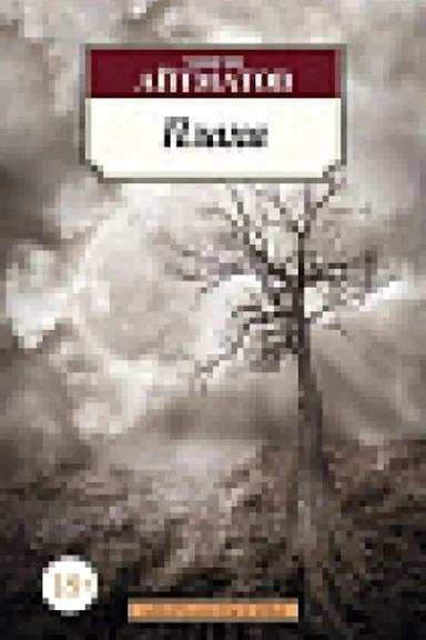 Buchcover: Placha